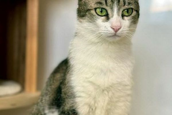 tobi-114EE47924-17CC-8C8D-BDA1-5B66EFD56ECE.jpeg